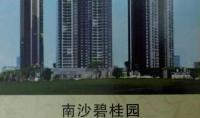 成功案例