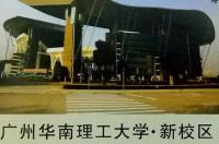 成功案例