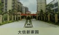 成功案例